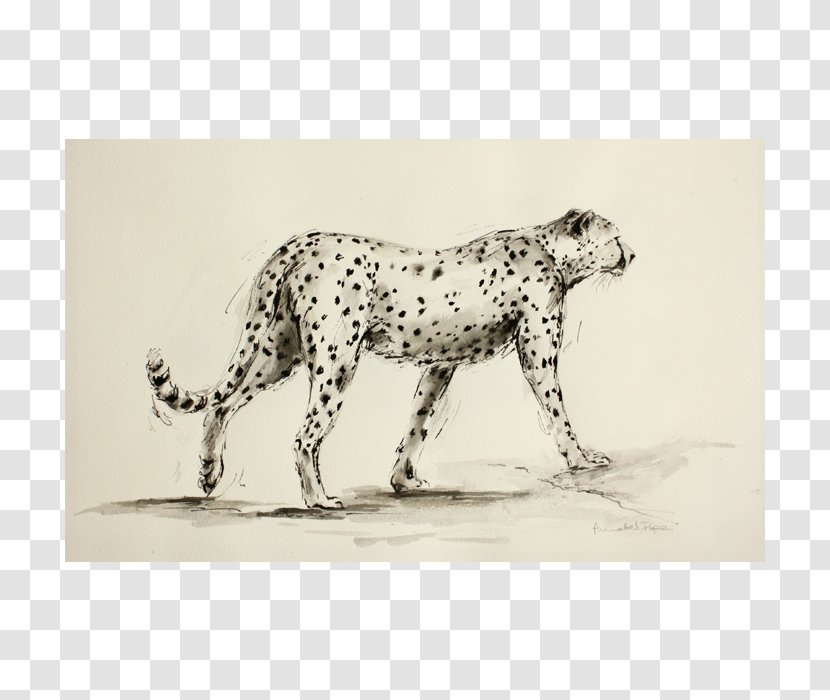 Dalmatian Dog Leopard Cheetah Jaguar Cat - Puma Transparent PNG