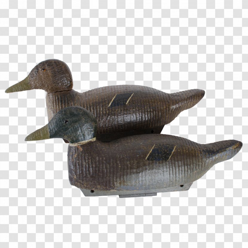 Duck Decoy Mallard Northern Pintail - Hunting - Silhouette Goose Transparent PNG