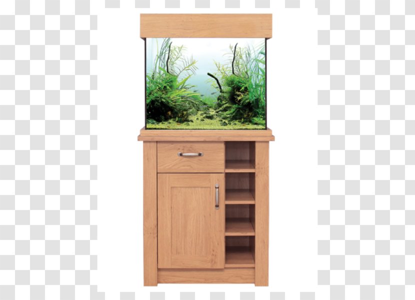 Drawer Cabinetry Furniture Wood Wine Racks - Stain - Guinea Pig Transparent PNG