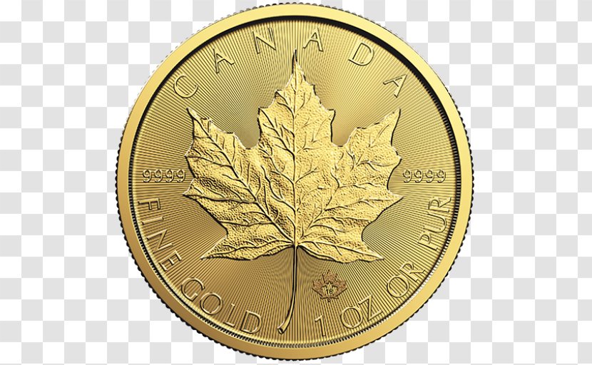 Canadian Gold Maple Leaf Bullion Coin - Current Year Transparent PNG