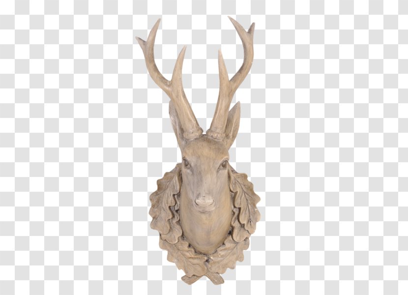 Reindeer Antler Red Deer Horn Transparent PNG