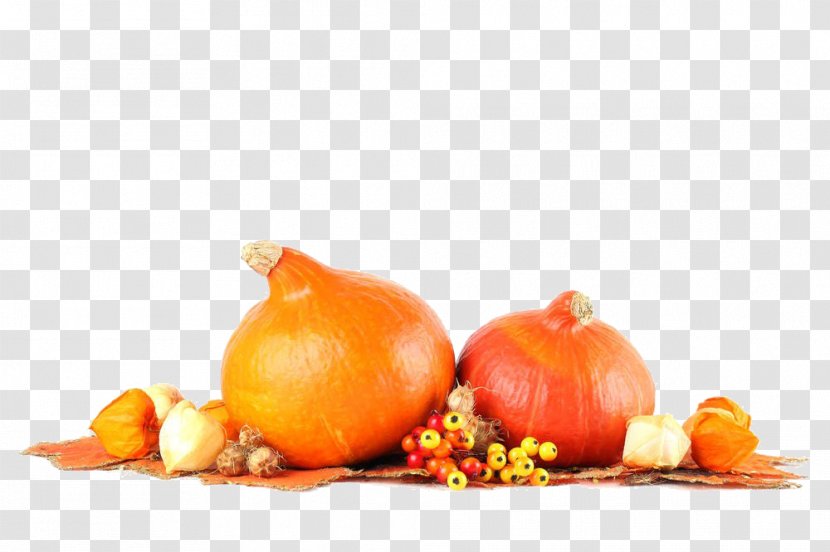 Pumpkin Pie Calabaza Red Kuri Squash Winter - Cucurbita Maxima - Cartoon Material Transparent PNG