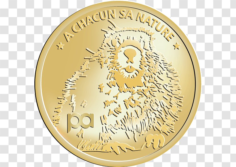 Coin Gold Medal Cash Money - Metal Transparent PNG
