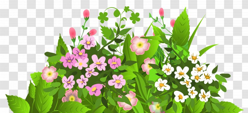 Flower Clip Art Floral Design Image - Annual Plant - Slice Badge Transparent PNG