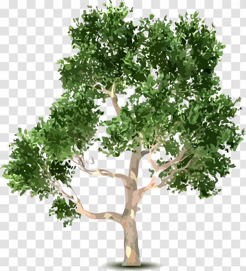 Tree Shrub Clip Art - Digital Image Transparent PNG