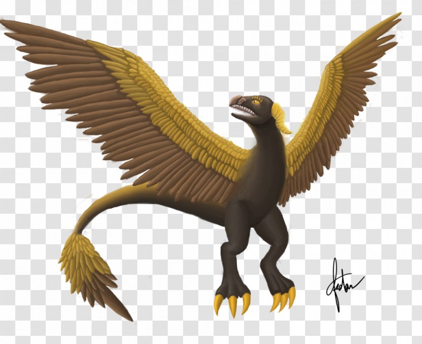Bird Of Prey Eagle Feather Law Golden - Art Transparent PNG