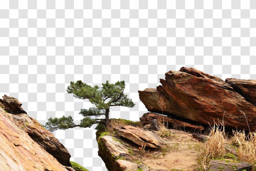 Erweijian Houyuntai Mountain U6d77u4e0au4e91u53f0u5c71 Xiadong - Lianyungang - Yuntai Pine Transparent PNG