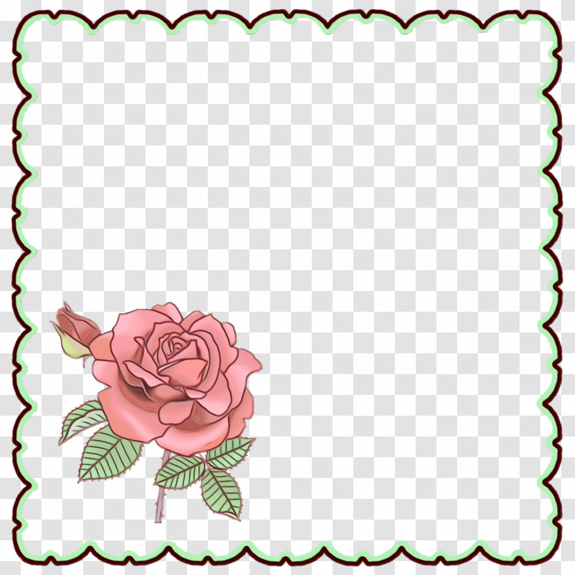 Garden Roses Transparent PNG