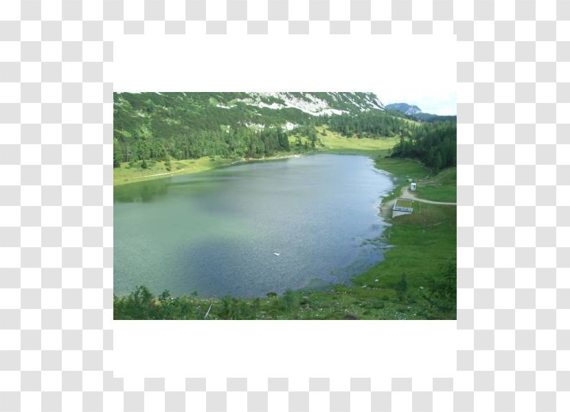 Wetland Nature Reserve Pond Water Resources Biome - Landscape Transparent PNG