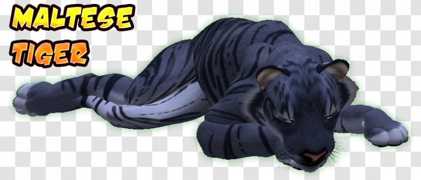 Maltese Tiger Dog Cat Mammal - Head TIGER Transparent PNG