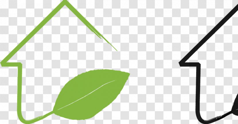Leaf Green Line Clip Art - Plant Transparent PNG