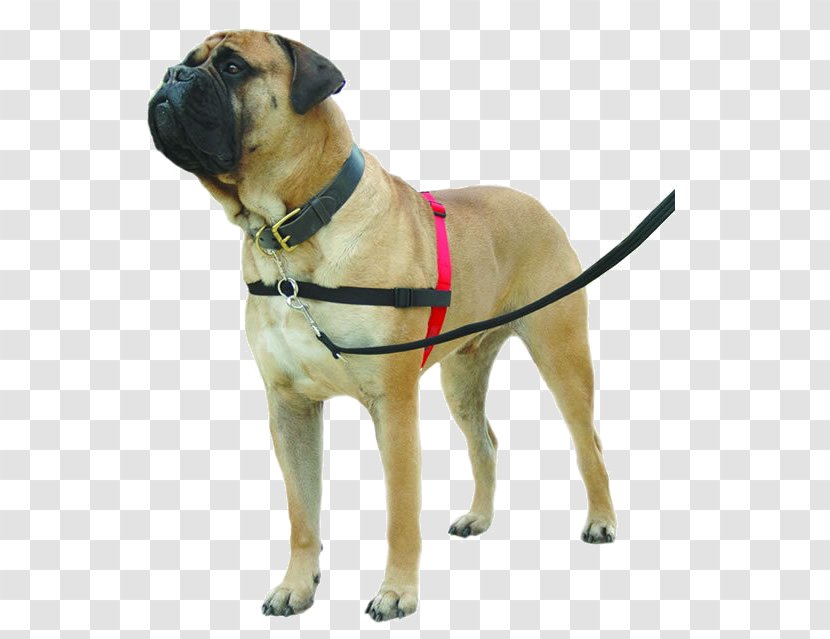 Dog Harness Collar Training Horse Harnesses Transparent PNG