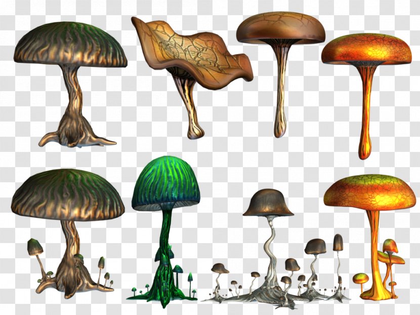 Psilocybin Mushroom Fungus - Art - Hand Drawn Mushrooms Pull Material Free Transparent PNG