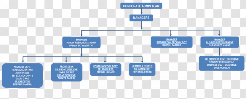 Brand Product Design Web Analytics Business - Human Organization Transparent PNG