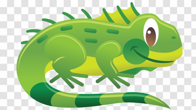 Chameleons Reptile Green Iguana Lizard Clip Art - Frog Transparent PNG