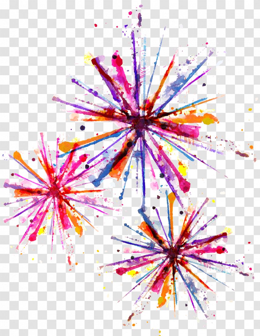 Vector Graphics Fireworks Stock Illustration Watercolor Painting - New Years Eve Transparent PNG