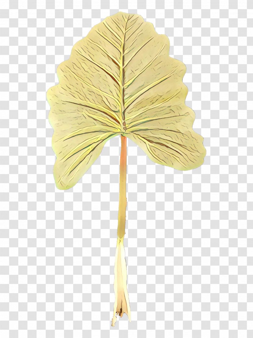 Plane Cartoon - Tree - Anthurium Maidenhair Transparent PNG
