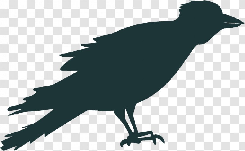 Raven Halloween Crow - Bird - American Crowlike Transparent PNG