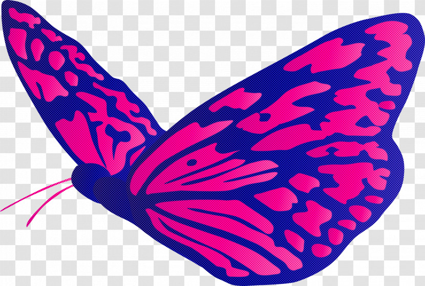 Butterfly Transparent PNG