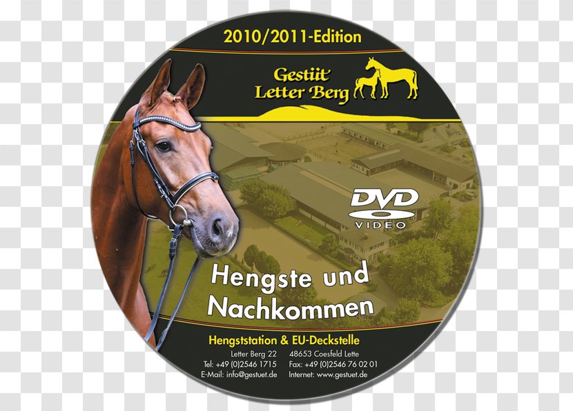 Stallion Horse Tack Snout Brand - Label Transparent PNG