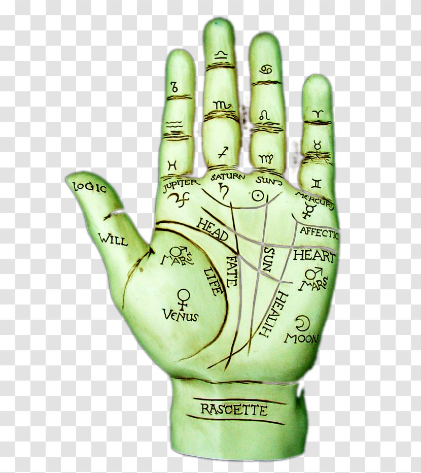 Finger Hand Model Glove Baseball - Goalkeeper - Palm Reading Test Transparent PNG