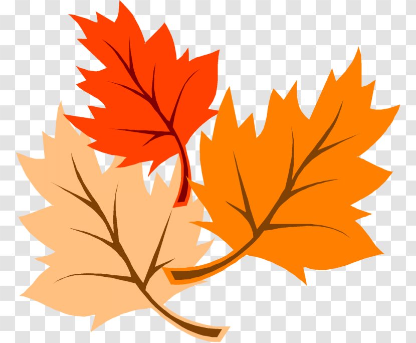 Autumn Leaf Color Thanksgiving Clip Art - Plant Transparent PNG