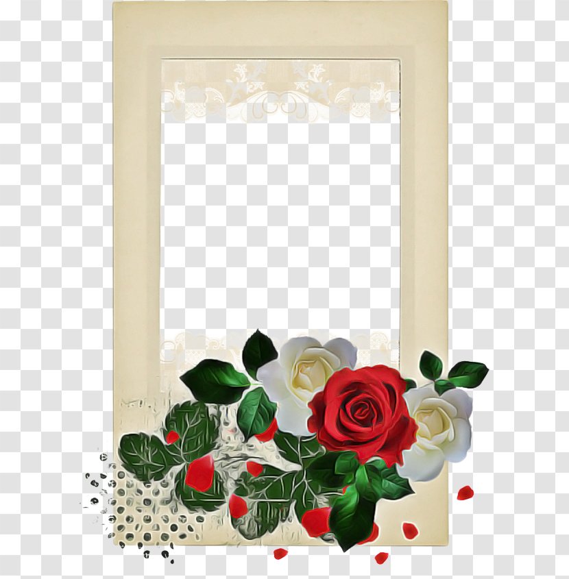 Christmas Decoration Drawing - Plant - Holly Transparent PNG
