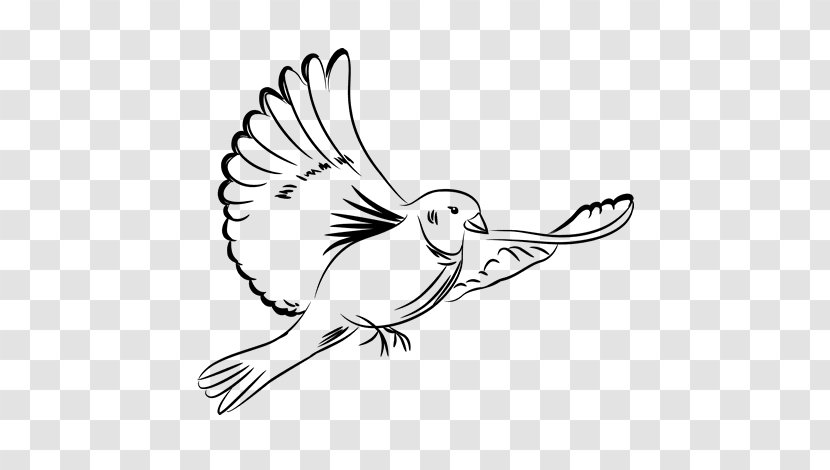 Drawing Rock Dove Paloma Blanca Doves As Symbols - Line Art - Painting Transparent PNG