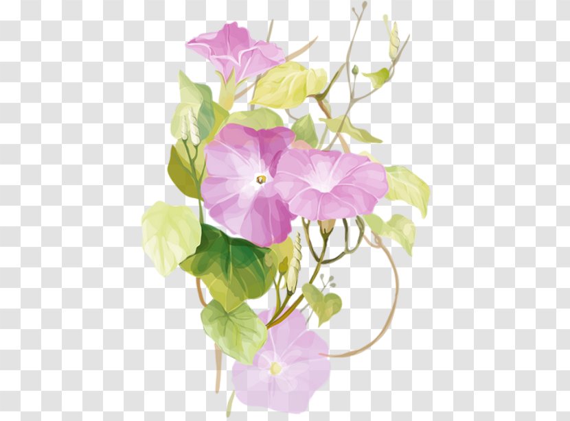 Morning Glory Ipomoea Nil Watercolor Painting Flower - Paint Transparent PNG