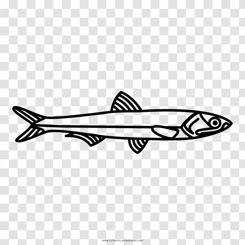 European Anchovy Fish Drawing Japanese - Coloring Book Transparent PNG