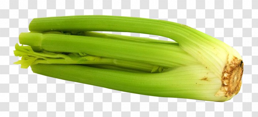 Vegetable Celery Food Eating Disease - Commodity Transparent PNG
