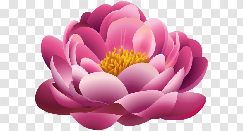 Pink Flowers Clip Art - Plant - Flower Transparent PNG