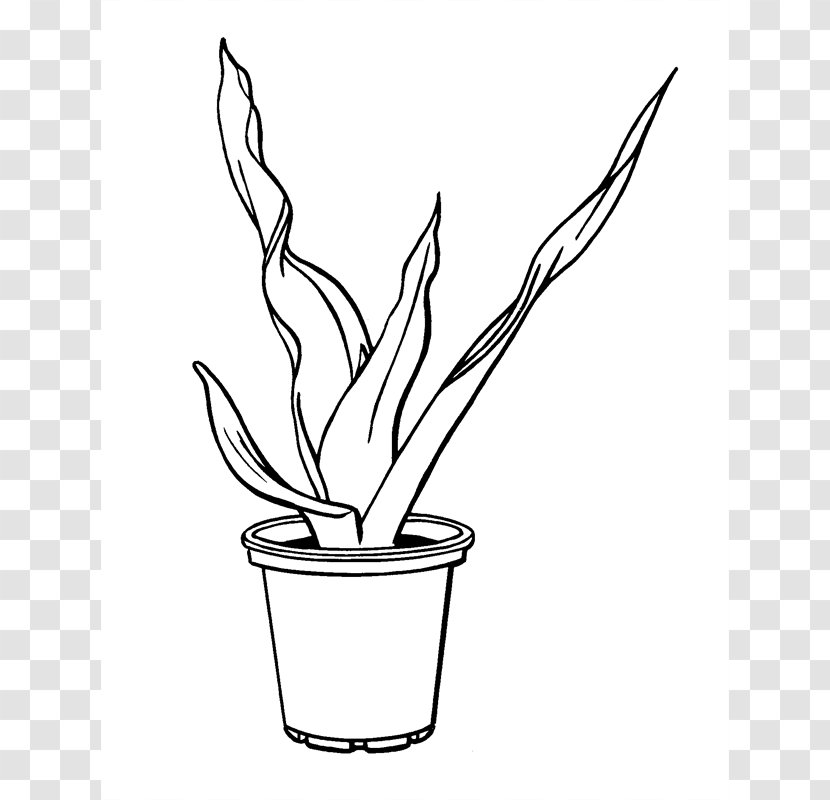 Twig Flowerpot Plant Stem Clip Art - White - Flower Transparent PNG