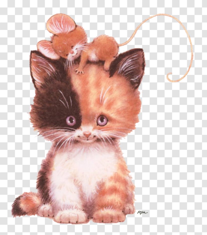 Kitten Computer Mouse Persian Cat And Transparent PNG