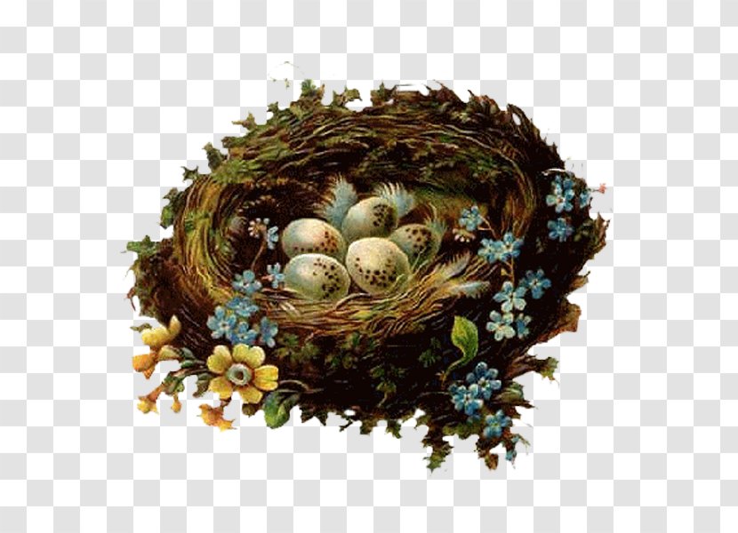 Easter Clip Art - Egg - Nest Transparent PNG