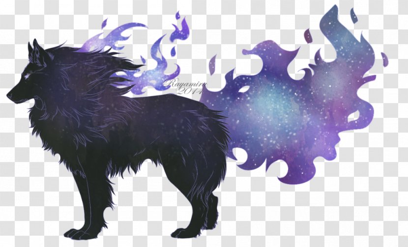 Dog Breed Schipperke Snout - Like Mammal - Dreamcatcher Wolf Transparent PNG