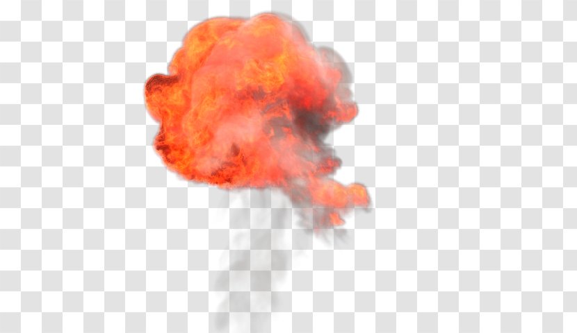 Nuclear Weapon Explosion Explosive Material Gas Flare - Tree Transparent PNG