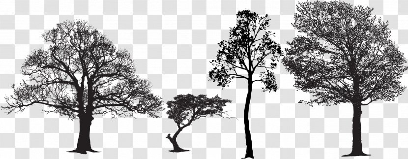 Tree Euclidean Vector Silhouette Packs - Plant - Black And White Artwork Of Shape Transparent PNG