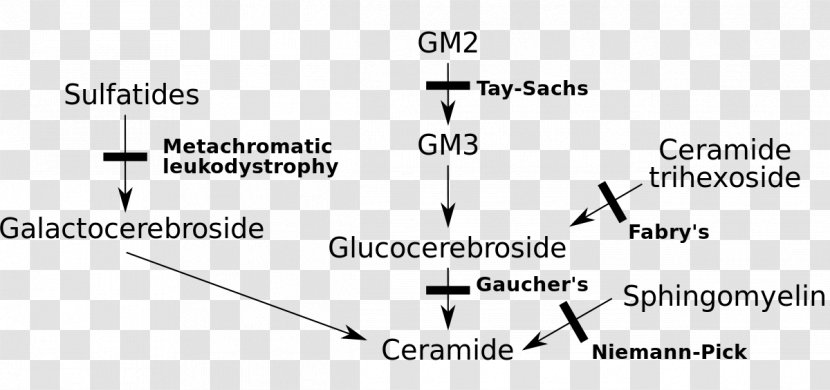 Sphingolipidoses Gaucher's Disease Lysosomal Storage Lipid Disorder Niemann–Pick - Triangle - Diagram Transparent PNG