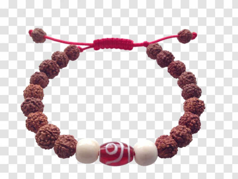 Bracelet Buddhist Prayer Beads Rudraksha - Meditation - Buddhism Transparent PNG