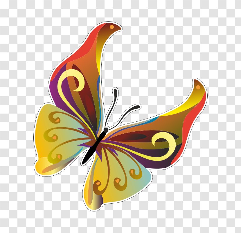 Butterfly Vector Graphics Clip Art Image - Insect Transparent PNG