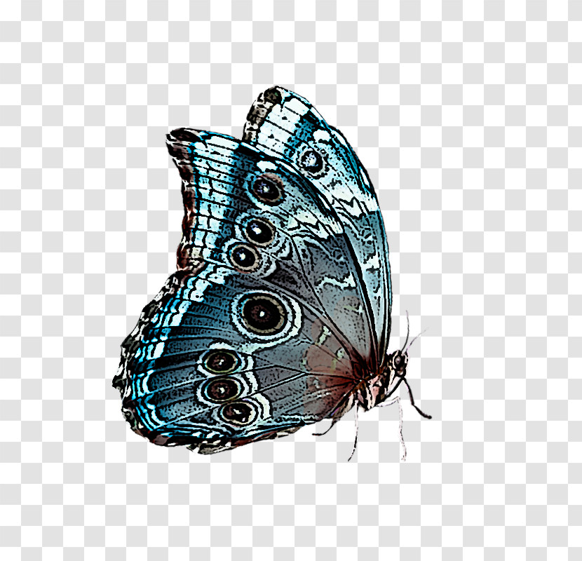 Cynthia (subgenus) Butterfly Insect Moths And Butterflies Brush-footed Butterfly Transparent PNG
