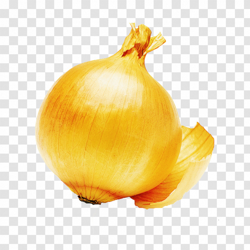Yellow Onion Still Life Photography Onion Still Life Yellow Transparent PNG