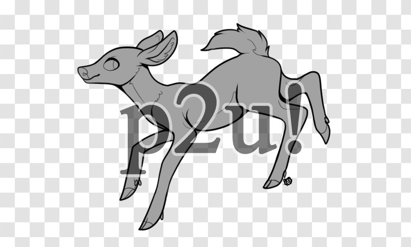 Reindeer Mule Antelope Horn - Watercolor - Deer Transparent PNG