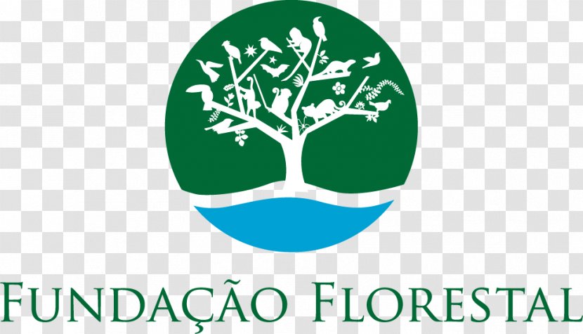 Fundação Para Conservação E Produção Florestal Do Estado De São Paulo Natural Environment Conservation Environmental Protection - Brazil - Rio Peixe Transparent PNG