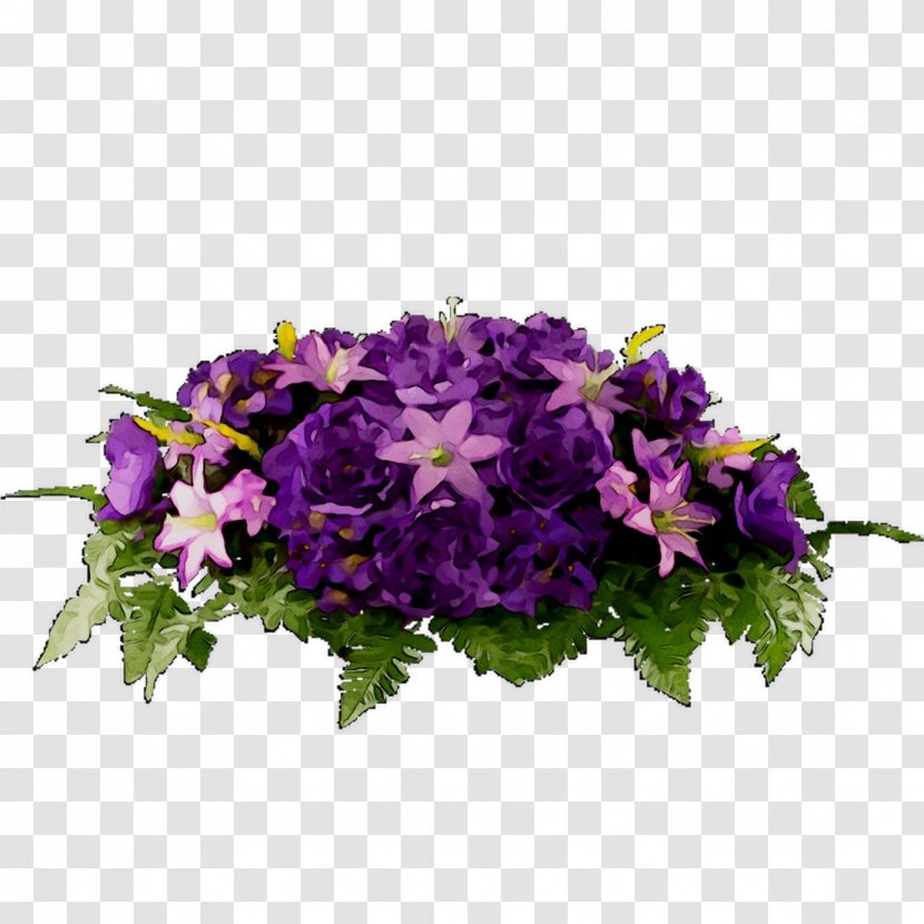 Vervain Annual Plant Floral Design Primrose - Impatiens - Bellflower Transparent PNG