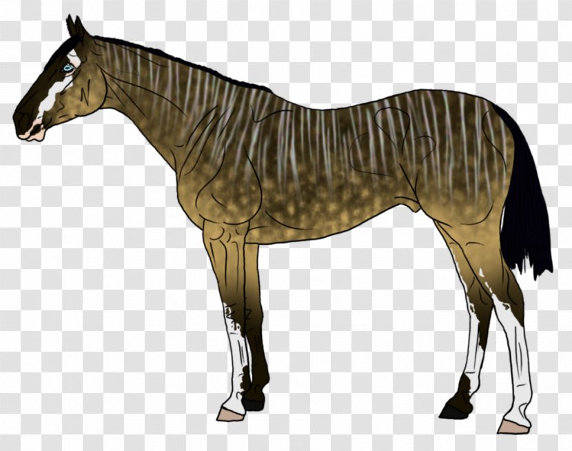 Mane Mustang Stallion Foal Mare - Horse Tack Transparent PNG