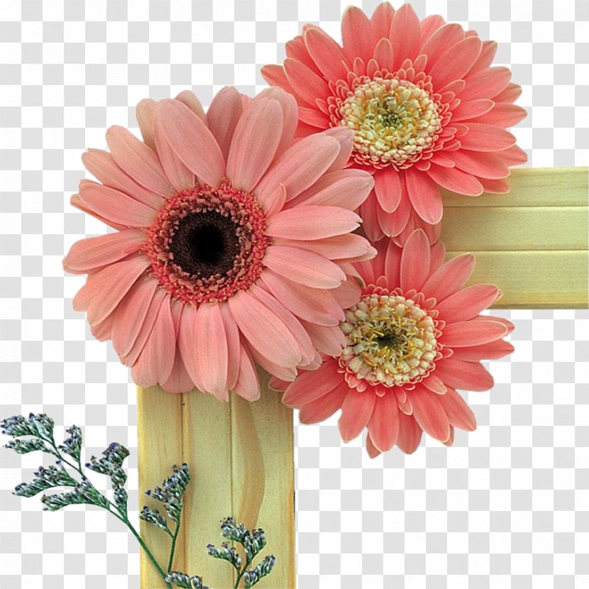 Friendship Day Love Wish - Flower Arranging - Photoshop Transparent PNG