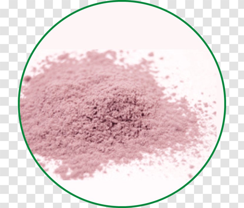 Açaí Palm Spray Drying Fruta Antioxidant Arecaceae - A%c3%a7a%c3%ad - Pulp Transparent PNG