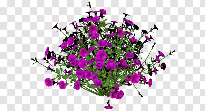 Floral Design Cut Flowers Blume Flower Bouquet - Liveinternet Transparent PNG